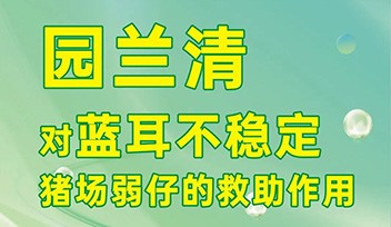 園蘭清對藍(lán)耳不穩(wěn)定豬場弱仔的救助作用！