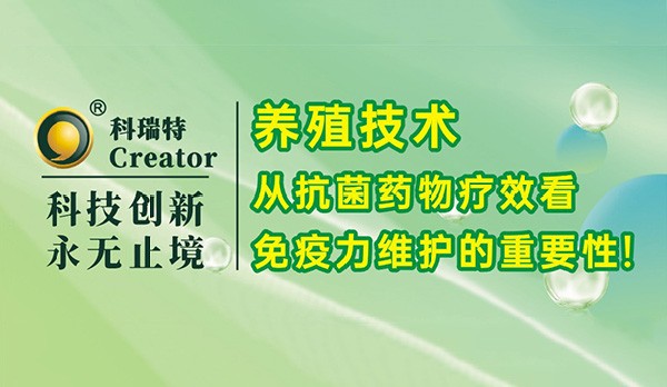 養(yǎng)殖技術(shù)｜從抗菌藥物療效看免疫力維護的重要性！